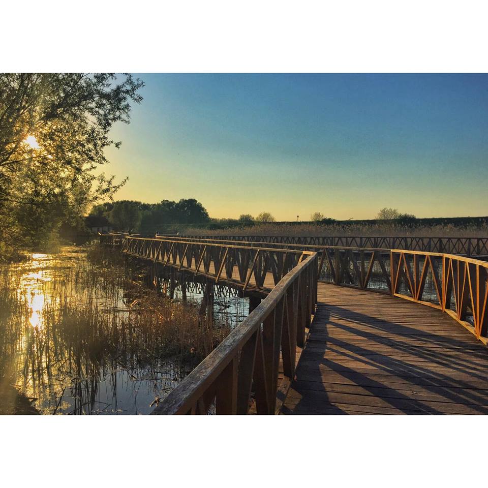 ★KOPAČKI RIT★
Wondering what’s on the other side of a bridge...🤔
📸Jelena Božac
#bridge #sunset #croatia #essenceofcroatia #photooftheday #beautiful