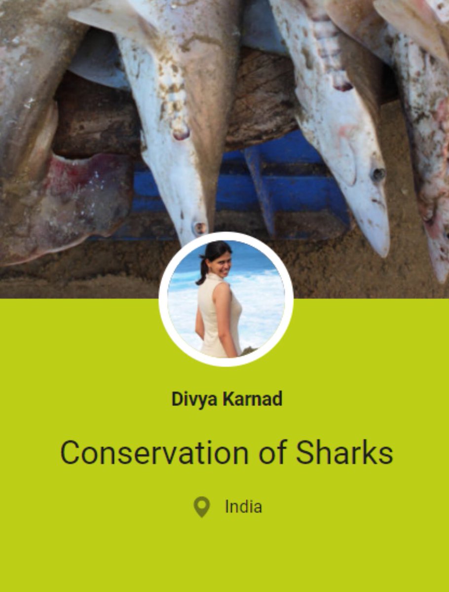 FUTURE FOR NATURE ACADEMY DAY 2019. Coming up this Saturday May 4th in Nijmegen with @artrooijakkers and Future For Nature Award winners 2019: Fernanda Abra, Olivier Nsengimana, and Divya Karnad! #ffnacademyday2019 #ffn #futurefornature #passion #inspiration #conservation