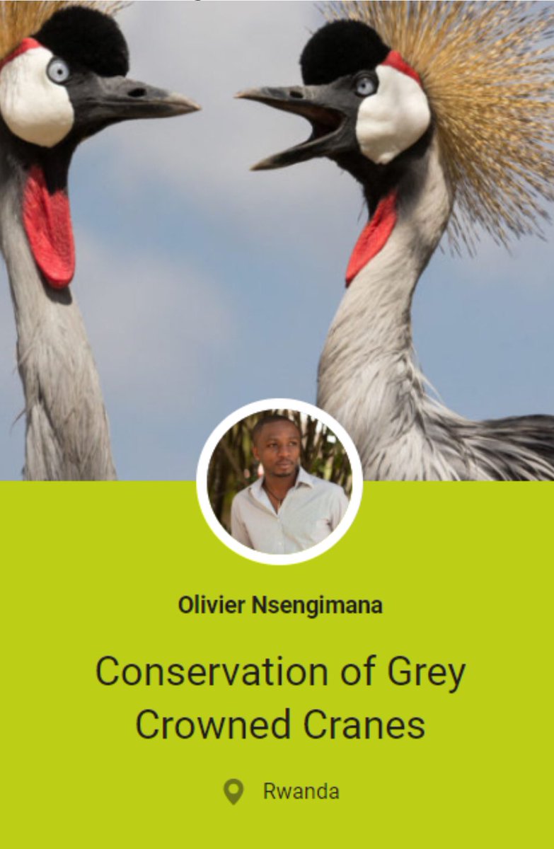 FUTURE FOR NATURE ACADEMY DAY 2019. Coming up this Saturday May 4th in Nijmegen with @artrooijakkers and Future For Nature Award winners 2019: Fernanda Abra, Olivier Nsengimana, and Divya Karnad! #ffnacademyday2019 #ffn #futurefornature #passion #inspiration #conservation