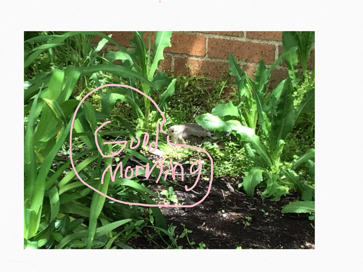 hegemierannette's tweet photo. @TremontLions family group members are Flower Talking!
#TremontCanCreate #uacreates https://t.co/wL2grg2Wtj