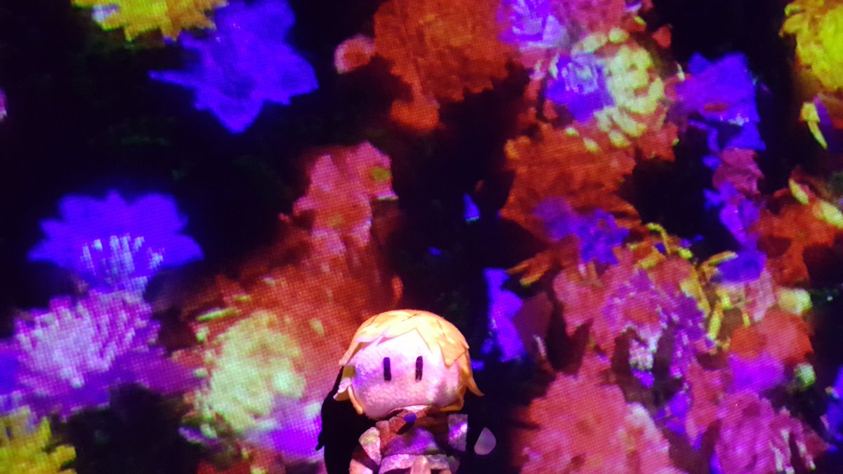   #GoldenAfternoonWeekAnd then we fulfilled one of Lauren& #39;s dreams: TeamLab BORDERLESSExpect a LOT of photos for this one. This is about as close to a religious experience as Lauren gets ;;;;
