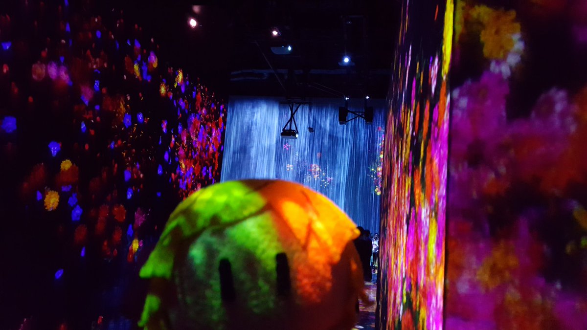   #GoldenAfternoonWeekAnd then we fulfilled one of Lauren& #39;s dreams: TeamLab BORDERLESSExpect a LOT of photos for this one. This is about as close to a religious experience as Lauren gets ;;;;