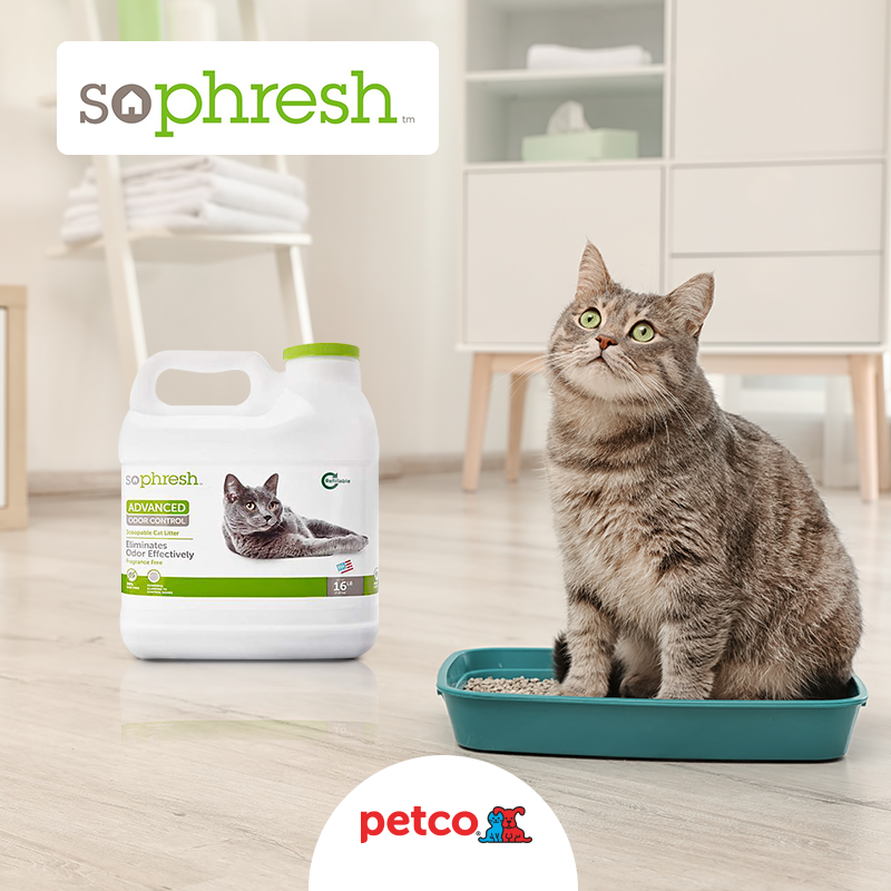 on Twitter "Conoce las arenas de arcilla Sophresh Odor