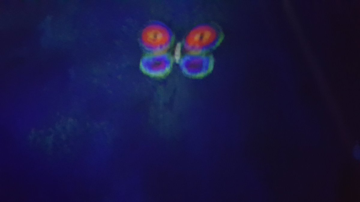   #GoldenAfternoonWeek Lauren and  @lightlybow drew butterflies, which were then scanned in and ACTUALLY PROJECTED THROUGH THE ROOM! IncredibleSae laughed at Lauren when they saw what she was drawing, but Lauren has a very particular brand and she thought everyone knew that