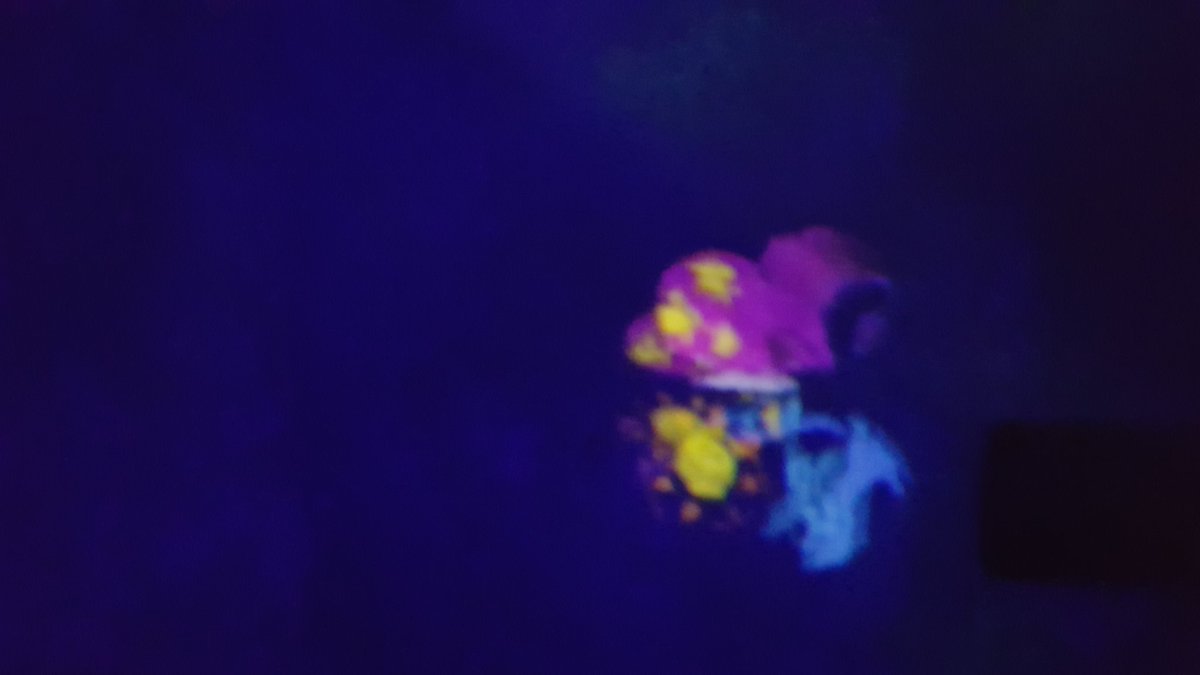   #GoldenAfternoonWeek Lauren and  @lightlybow drew butterflies, which were then scanned in and ACTUALLY PROJECTED THROUGH THE ROOM! IncredibleSae laughed at Lauren when they saw what she was drawing, but Lauren has a very particular brand and she thought everyone knew that