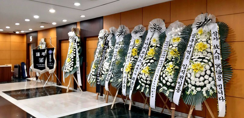 聖母病院 聖母病院