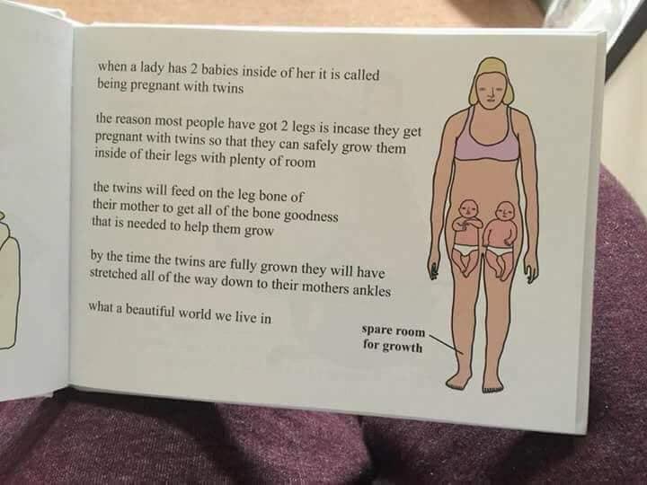 strange pregnancy book