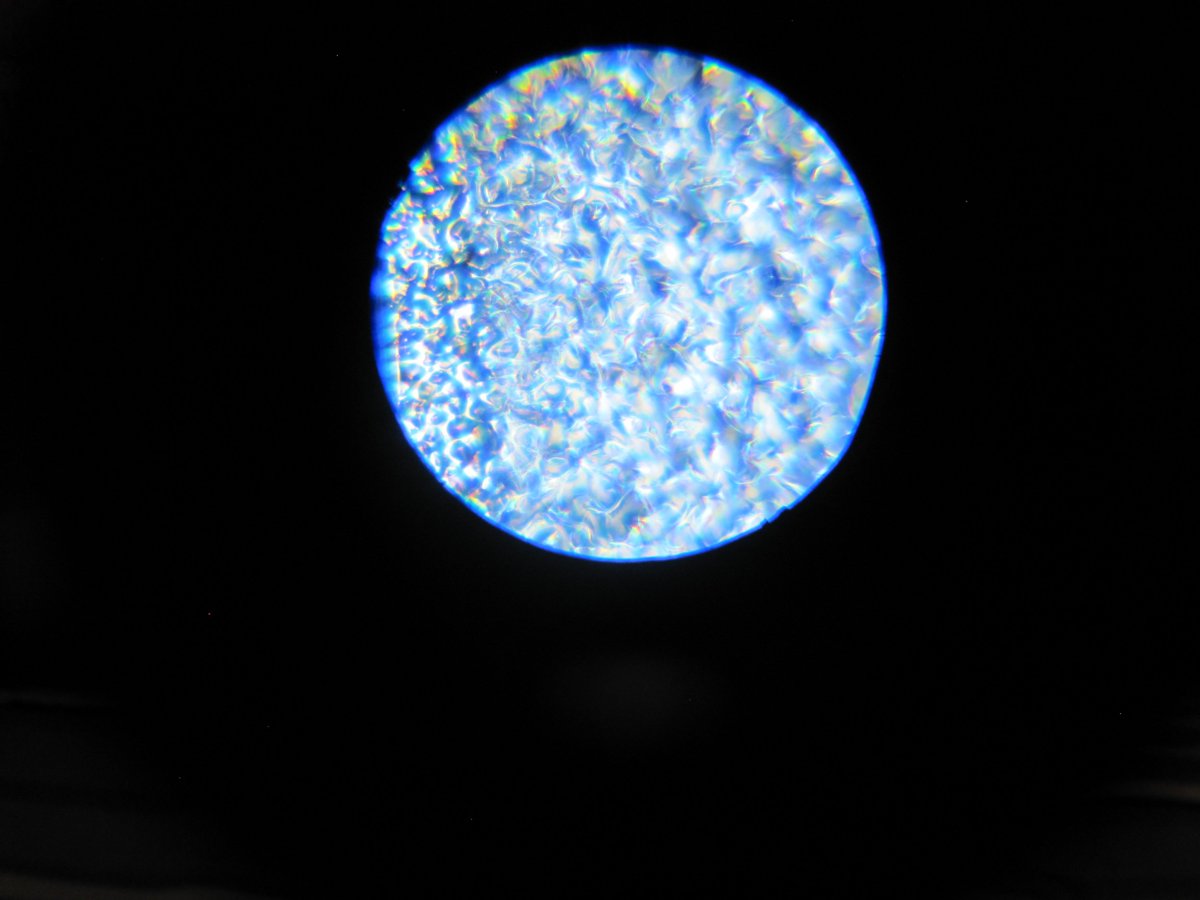 savaslab's tweet image. Here is another awesome microscopic image - can you guess what it is? (hint: a living organism)
Left pic: 40 times magnified
Right pic - top: 100 times magnified
Right pic - bottom: 400 times magnified
You can see the cells!
#HaveATerrificScientificDay
#MicroscopeArt