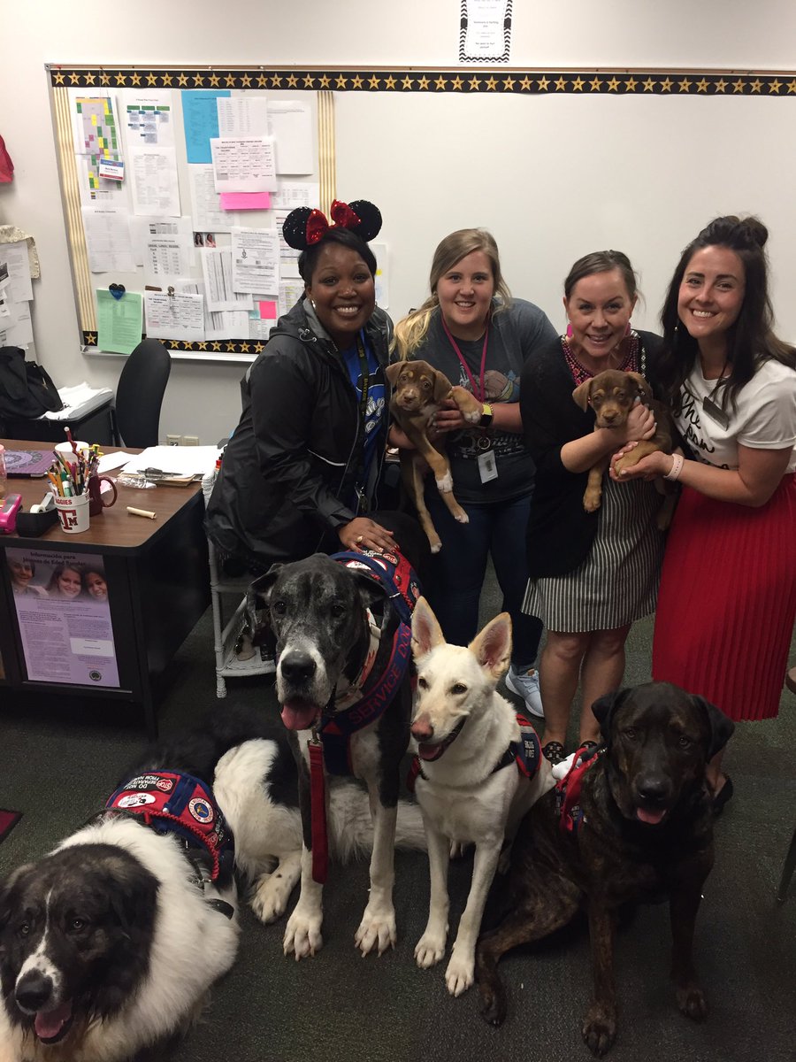 DiagHoward's tweet photo. What...your school doesn't bring dogs to school? #teambce #TeacherAppreciationWeek #scoutslegacyservicedogs https://t.co/O3SaQNI064