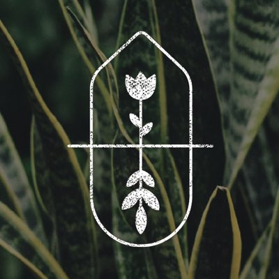 PlantShed tweet media