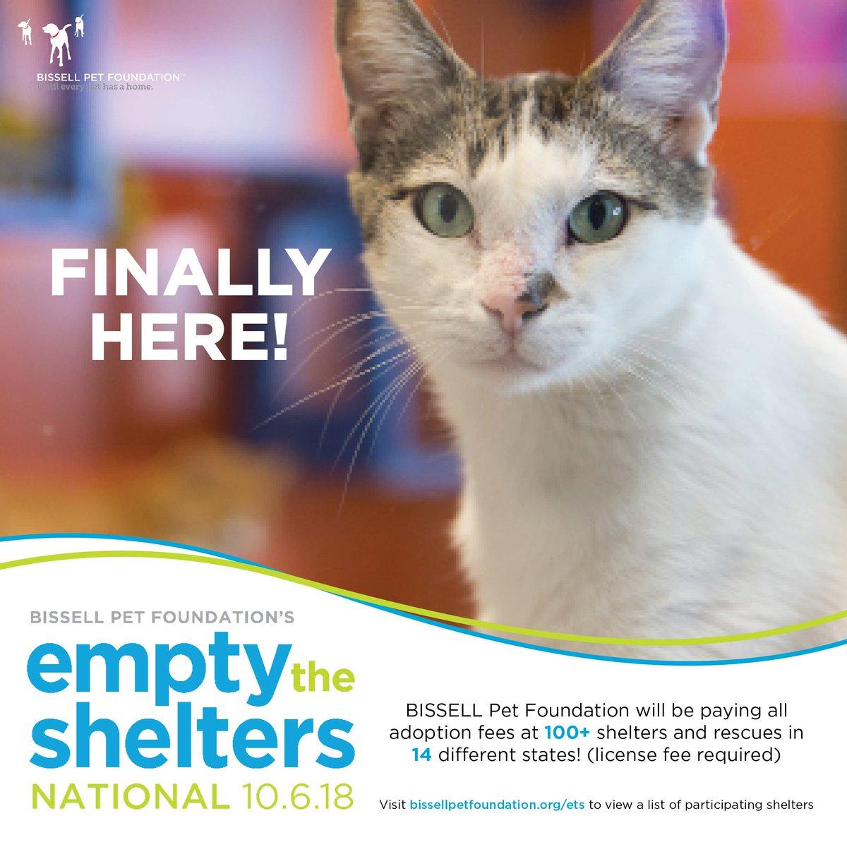 Berkeley Animals tweet media
