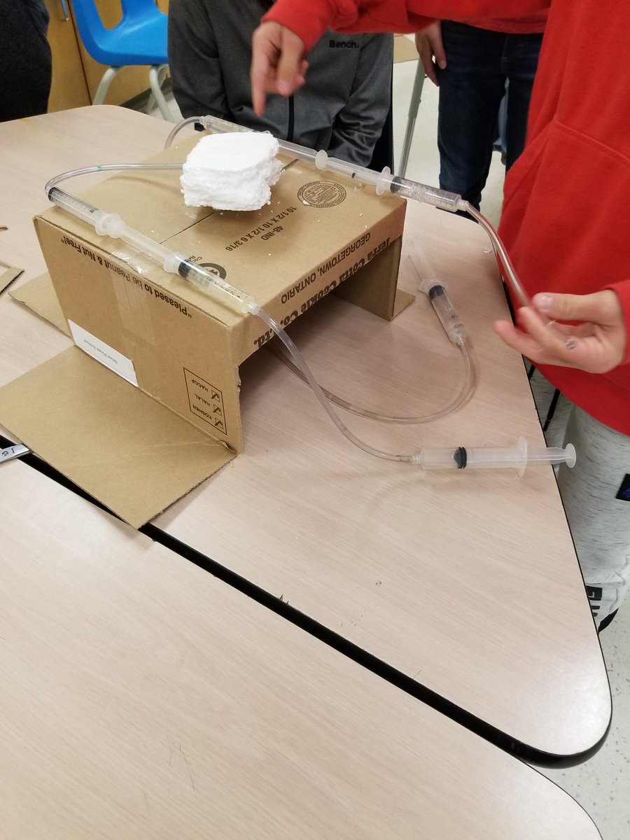 Jeanette Hummel (@hummeljeanette) on Twitter photo Last one for today. Too many to showcase! Claws, toys, mazes, surgical equipment and more! Innovation at its best! #designthinking #processoverproduct #yrdsb #yrdsbinnov8 <a href="/silverpinesps/">Silver Pines PS</a> Last one for today. Too many to showcase! Claws, toys, mazes, surgical equipment and more! Innovation at its best! #designthinking #processoverproduct #yrdsb #yrdsbinnov8 <a href="/silverpinesps/">Silver Pines PS</a>