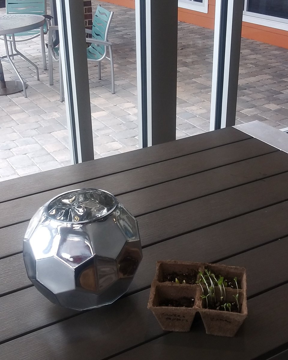 LXCrossing's tweet photo. They say "April Showers bring May Flowers"!! ☔🌱
#flowers are from our resident event we hosted last month https://t.co/HhzZlC7FeH