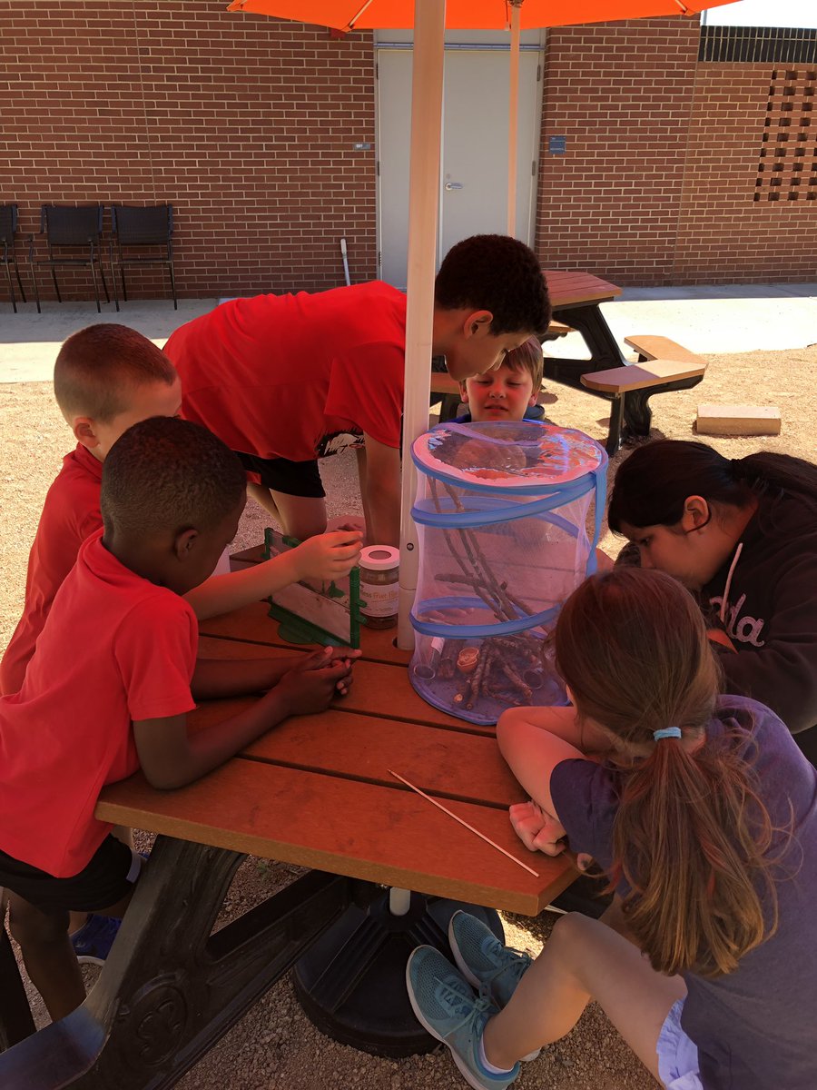 Let’s Go Lifecycling Expedition checking out our antfarm and praying mantises. <a href="/LHECMES/">Lincoln HeightsECMES</a>