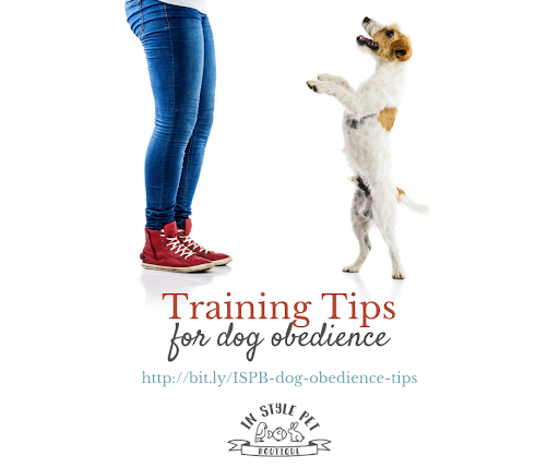 InStylePet's tweet image. Check out our latest blog post on #DogObedience and tell us what you think! We&apos;ve got some great tips and would love yours as well. bit.ly/ISPB-dog-obedi…