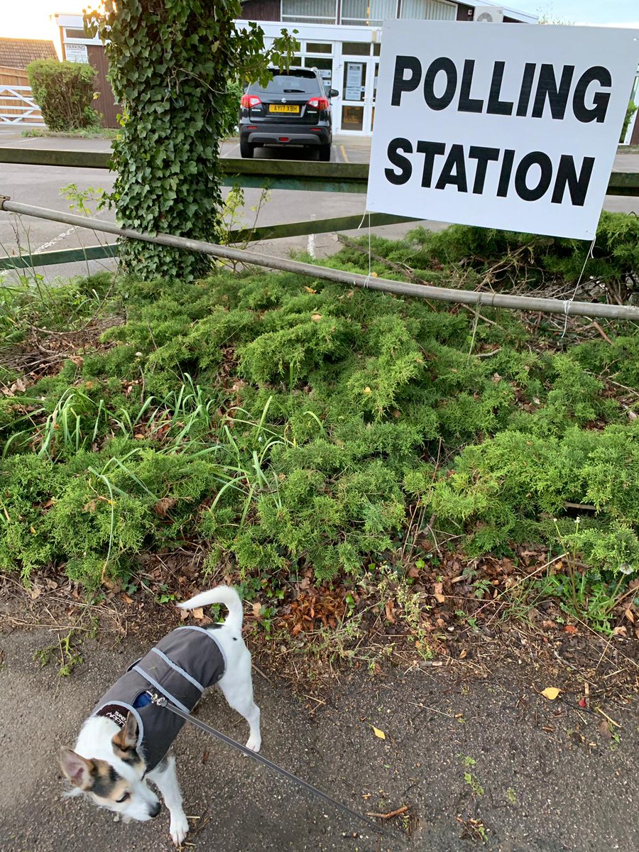 scaddingk's tweet image. He's back for the second time to exercise his democratic right #dogsatpollingstations