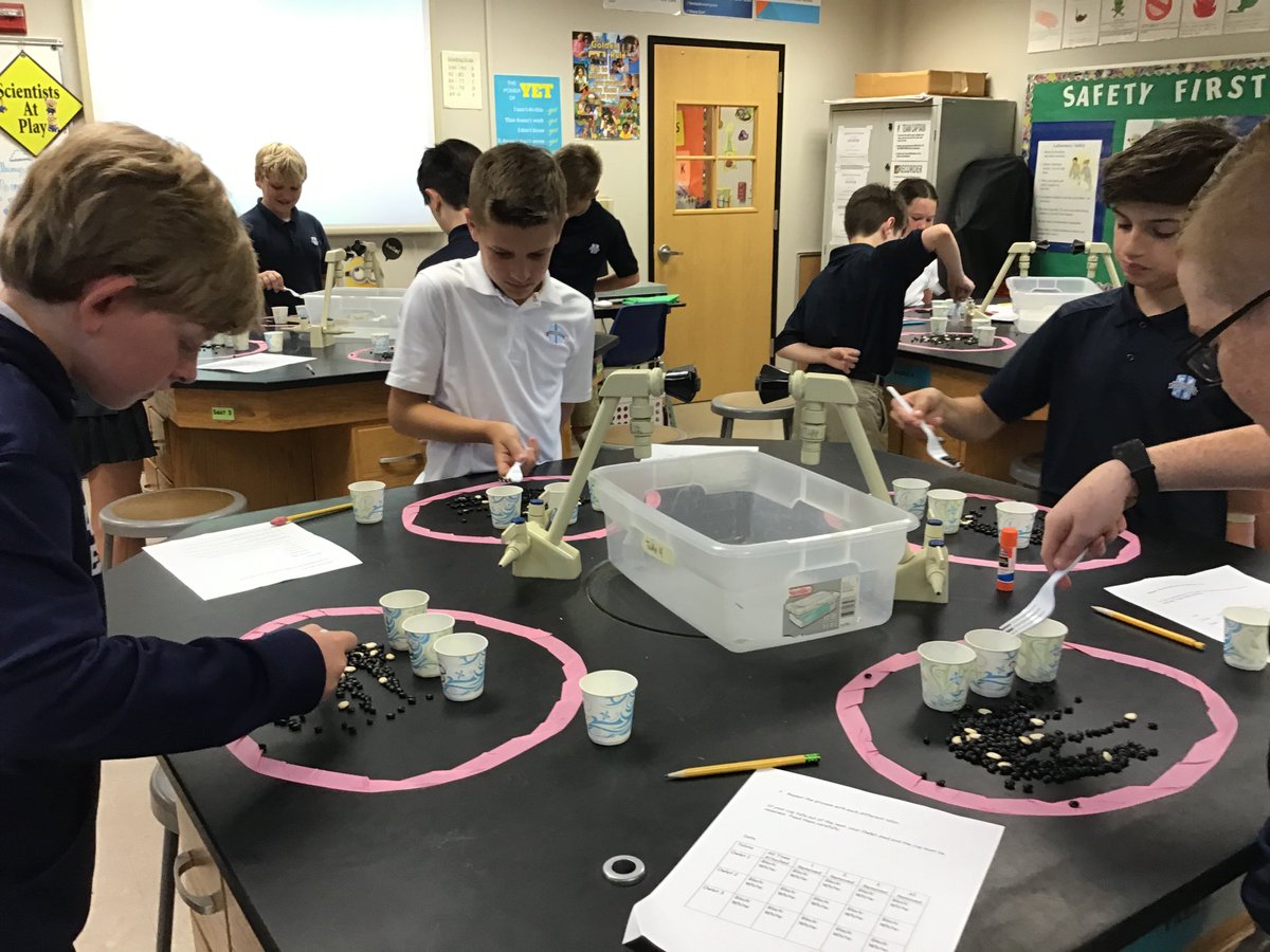 Bluegators5th's tweet photo. Owl Survival Lab #blue_gators https://t.co/AlkMsxBVDf