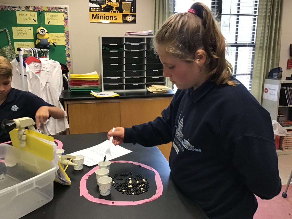 Bluegators5th's tweet photo. Owl Survival Lab #blue_gators https://t.co/AlkMsxBVDf