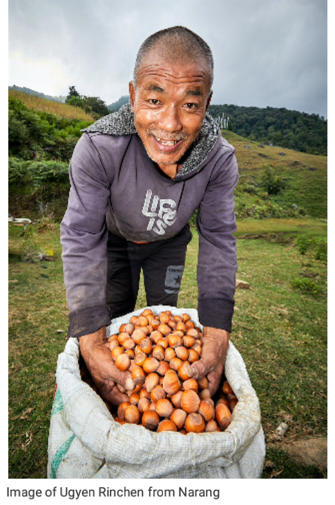 FoodDisruptors's tweet photo. 39 – Mountain Hazelnuts: A Lot More Than Nutella https://t.co/je64lLNDFf https://t.co/B0L3uDPRUs