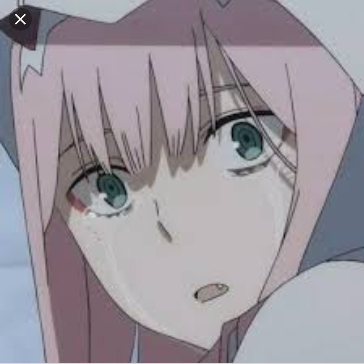 Любимый во Франксе 02 плачет