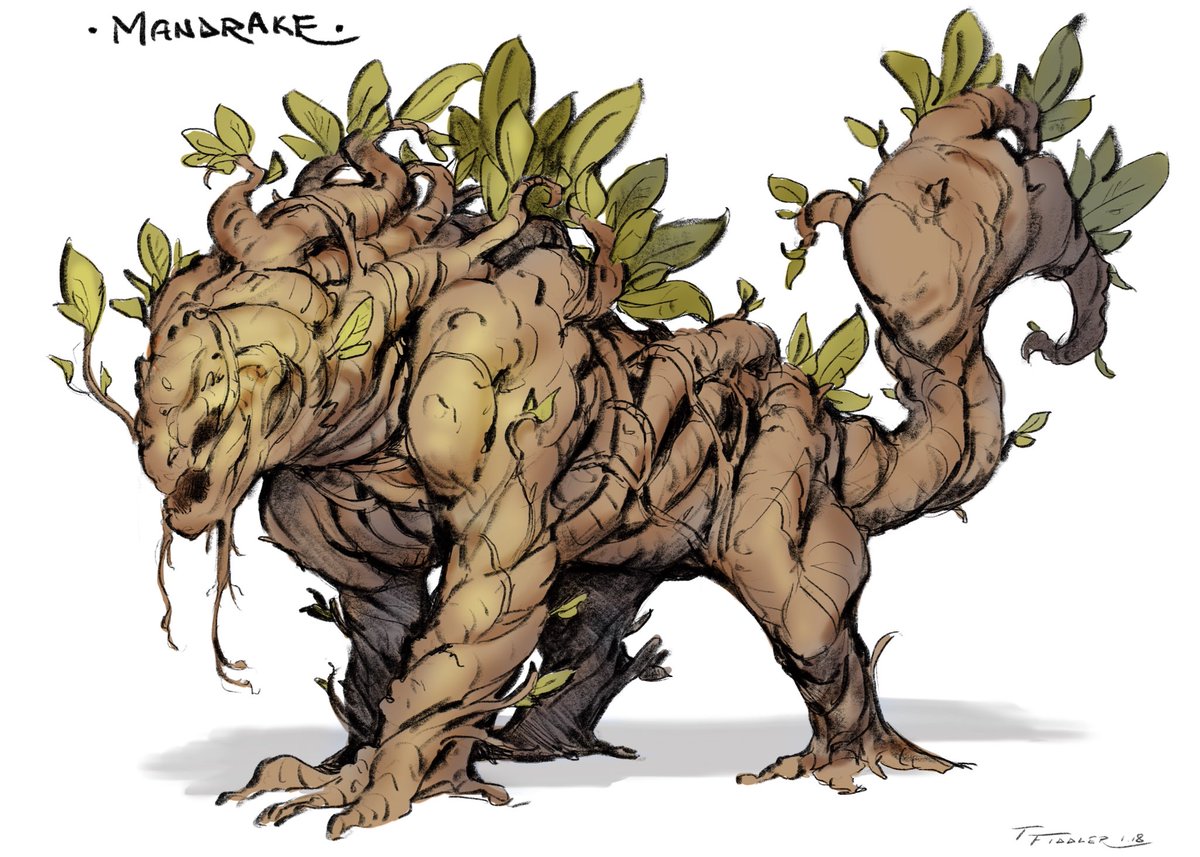TFiddlerArt's tweet image. Hey guys! Here are days 9-12 from last year’s Creatuanary! A #Mandrake, the #Dagon, a #futuristic #bull and the #dracaenae! Thanks and Enjoy! #procreate #ipadpro #creature #creaturedesign #myth #digitalart #sketch #Creatuanary