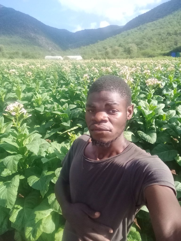 SayEntrepreneur's tweet photo. This Young Farmer Siphuma @Am_Unarrinie from Makhado is very passionate about farming.
👉🏾 He has 10 hectare farm, very little farm but he is doing wonders.
👉🏾 Current challenge is water system. Those in government please help this farmer with water supply.
📞081 850 5060 https://t.co/hl7gnTKJyv