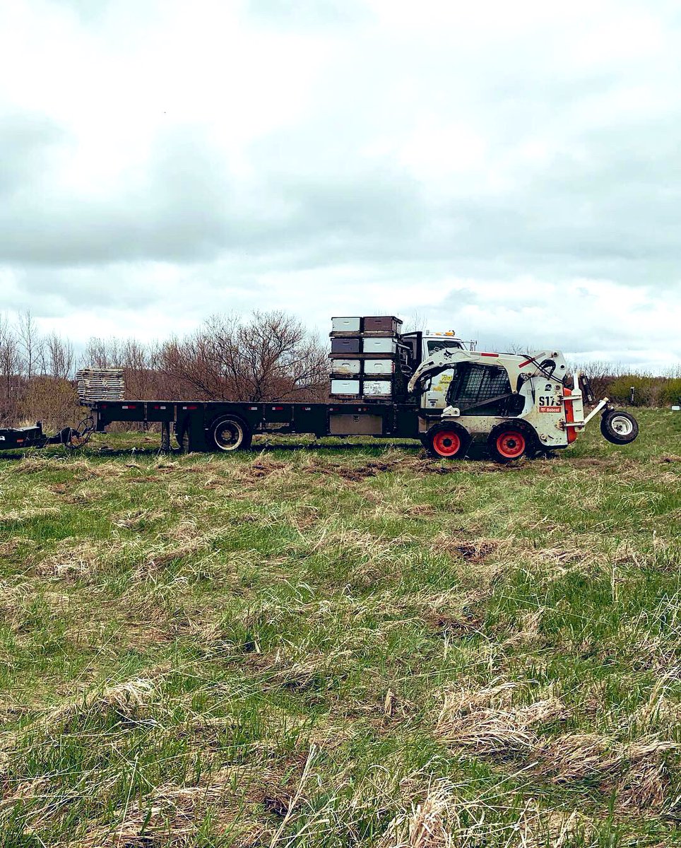 Minnesota Agriculture for Pollinators Project tweet media