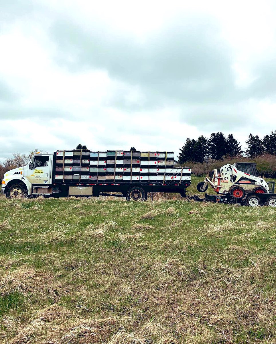 Minnesota Agriculture for Pollinators Project tweet media