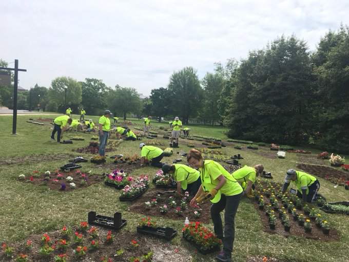 NationalMallNPS's tweet photo. The annual #NationalGolfDay service project of @WGF and @GCSAA was held on Tues, with more than 200 volunteers completing 18 projects. They installed 12,000 sq ft of new sod, mowed 10 acres of turf, planted 10,000 annuals and much more. Thanks for making the National Mall shine! https://t.co/eyGvQt0JmE