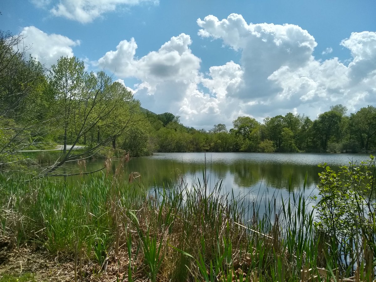 There are benefits to scheduling multiple school FAM meetings in one day. You get to sneak some quiet time into lunch on the road #eatingontheroad #smallmoments <a href="/ncmtss/">NCDPI MTSS</a>