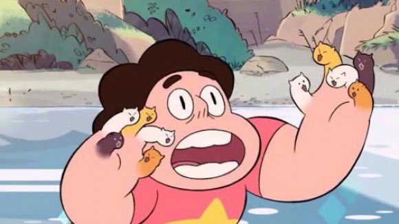 Steven Universe beset with cat fingers