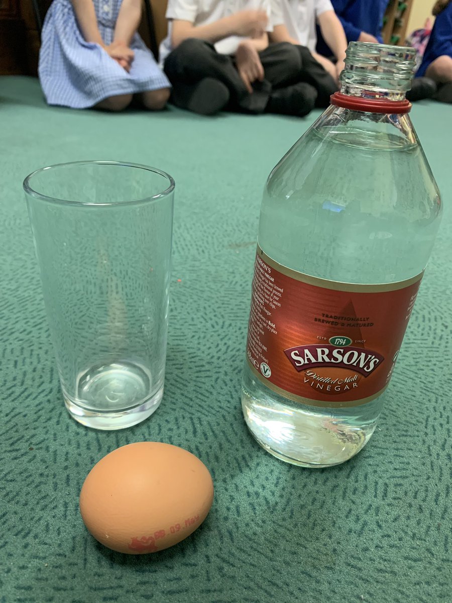GEliseM30's tweet image. We love an investigation/experiment in our Early Years. Let’s find out what happens to an egg soaked in vinegar! #bouncyegg #eyfs @EldonGroveAcad #childrenexcitedfortomorrow