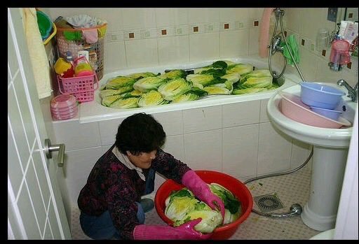 まぁ Vxtpxhyicnfedp5 韓国人はトイレもトイレットペーパー流せないからゴミ箱に捨てる民族で しかもトイレは 台所に作る人も多いという そういう価値観なので お風呂で白菜つけても全く違和感などないでしょうね Twitter