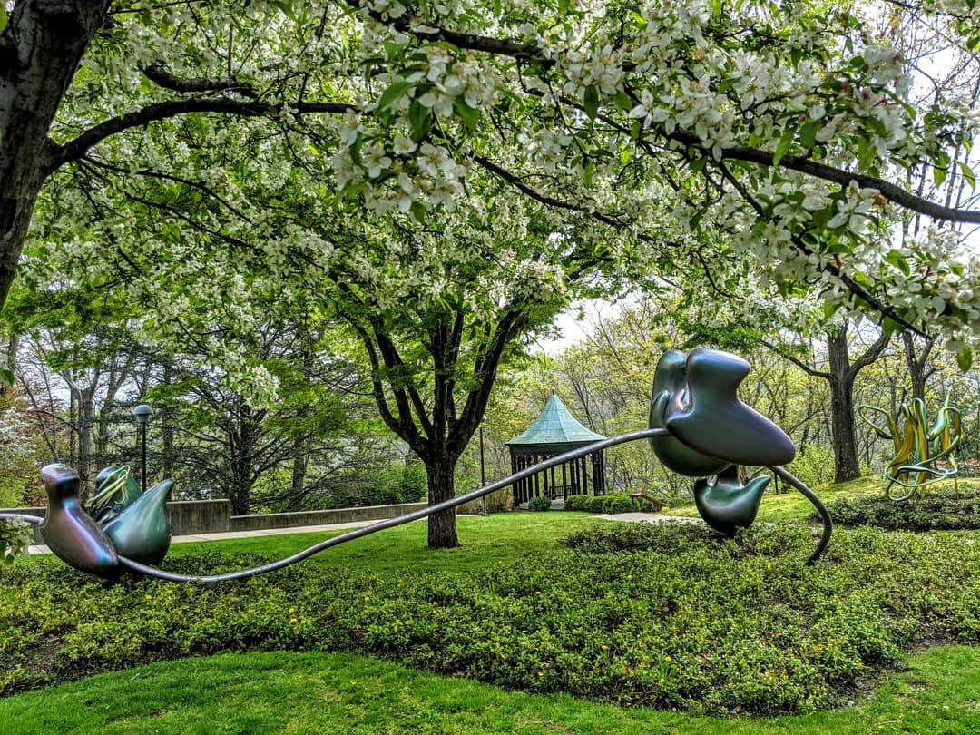 anupkhanal's tweet photo. Bees waltzed over crab apple blossoms while the ribosomes synthesized the #BLyS protein (far right).
@cshlnews #waltzofthepolypeptides #Spring2019 https://t.co/zhc9VWwX70