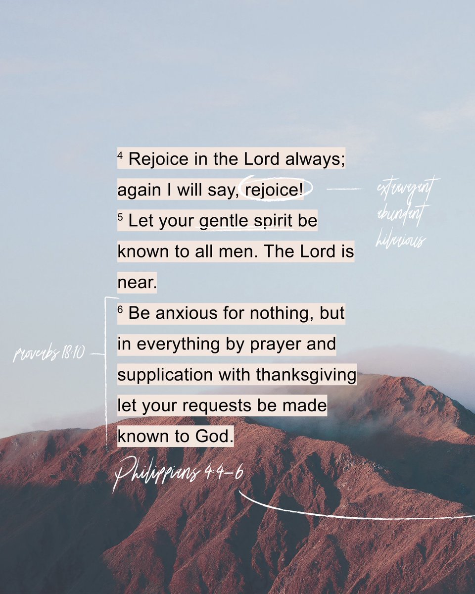 Jimmy Seibert tweet media