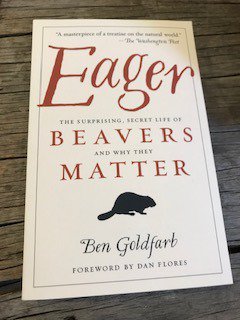 WRLT's tweet photo. Beavers indicate a healthy wild ecosystem! #IdahoGives
https://t.co/lZWtv0foln
$150 or more ensures you will receive a packet of showy milkweed seeds and a signed copy of Ben Goldfarb’s 
Eager: The Surprising, Secret Life of Beavers and Why They Matter https://t.co/JyAoL4syFW