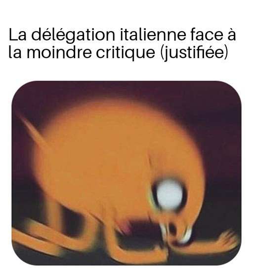 Après 3h de séance de vote, le ministre des memes irlandais a eu le temps de penser à quelques petites choses:
@ItaliaScue