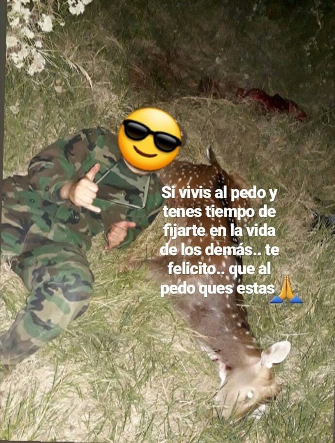 La respuesta del mismo sujeto. #LiberaciónAnimal