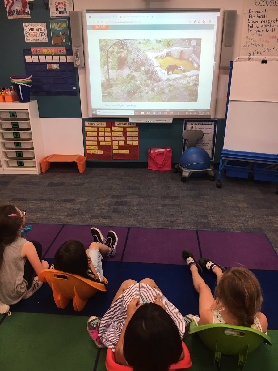 faitsclass's tweet photo. Thank you @sandiegozoo for the Live Cam! It was so much fun watching the different animals! #BengalPride https://t.co/RRJQlrusd9