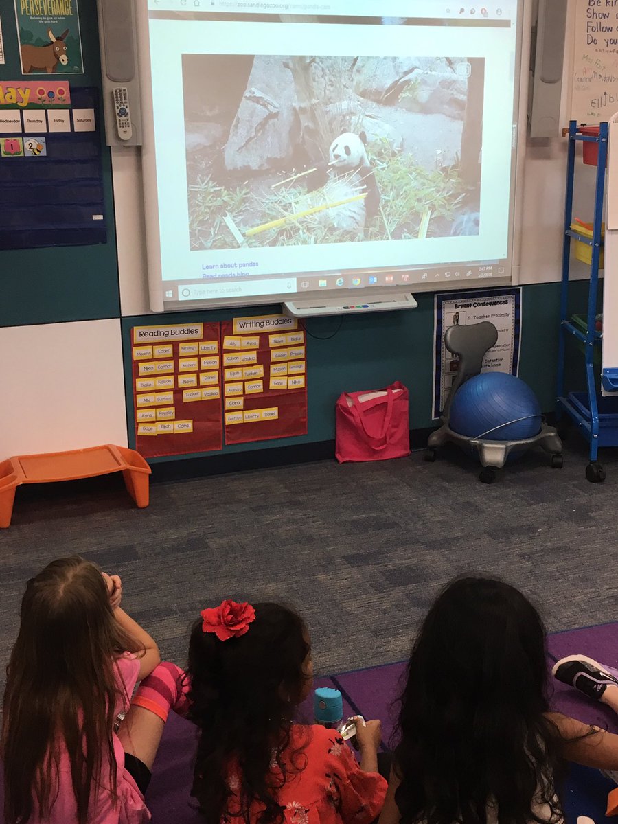 faitsclass's tweet photo. Thank you @sandiegozoo for the Live Cam! It was so much fun watching the different animals! #BengalPride https://t.co/RRJQlrusd9
