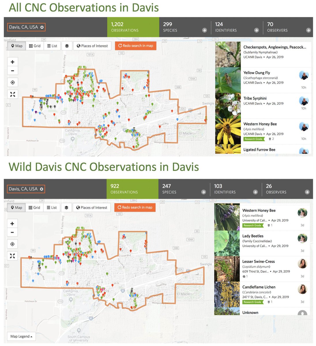 Dr. Laci Gerhart (@lmgerhart) on Twitter photo #WildDavis students contributed over 75% of the <a href="/CncSacramento/">City Nature Challenge Sacramento</a> #CityNatureChallenge records for Davis! ππ
Special thanks to <a href="/lglevanik/">Lauren Glevanik</a> <a href="/Hailey_Adler/">Hailey Adler</a> and @shahrrukhhjaan for running the numbers! π©βπ»π©βπΌ #WildDavis students contributed over 75% of the <a href="/CncSacramento/">City Nature Challenge Sacramento</a> #CityNatureChallenge records for Davis! ππ
Special thanks to <a href="/lglevanik/">Lauren Glevanik</a> <a href="/Hailey_Adler/">Hailey Adler</a> and @shahrrukhhjaan for running the numbers! π©βπ»π©βπΌ