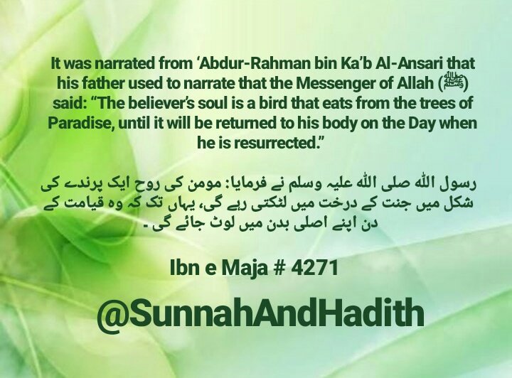 SunnahAndHadith's tweet photo. Book: Sunnan e Ibn e Maja
Kind: Zaeef
Reference No: 4271

#Hadith https://t.co/4cUYAarFfu