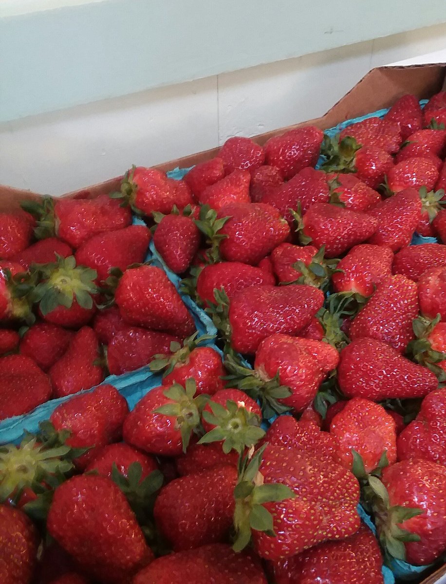 We wait all year for these beauties from the Northern Neck before launching our peerless strawberry margaritas...this year JUST in time for #CincoDeMayo