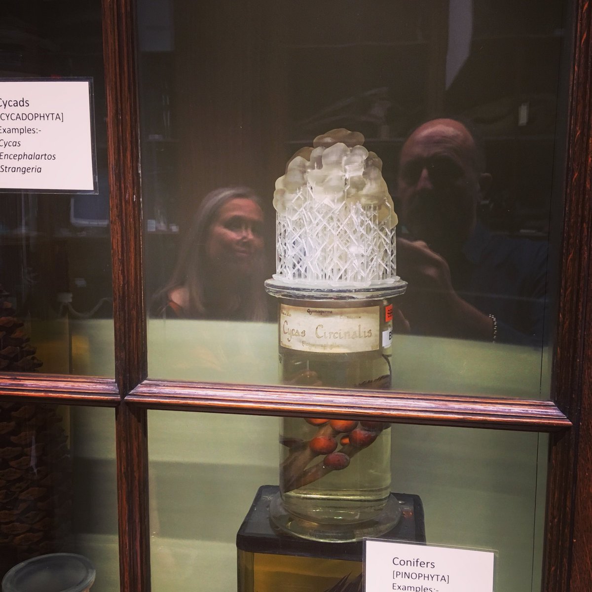 Jason__Shelley's tweet photo. The Museum of Life Sciences, Kings College.
Congrats Emma on putting this exhibition together.Available to see by appointment or Wednesday’s 11-3. A 3 way dialogue between patients, clinicians &amp; academics mediated and documented through art.” #patientaspaper  #medicalart https://t.co/8jHm2F2n2S