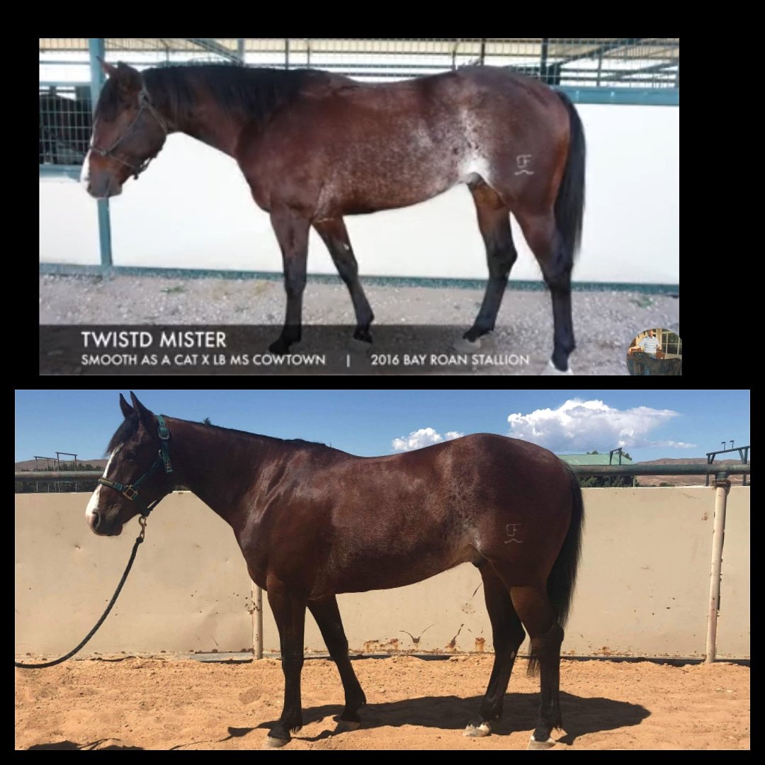 WildG0ld's tweet photo. Try the 30 day Wild Gold challenge for yourself to see stunning results like this before and after!! https://t.co/b6XMGnYAh8 to buy the 64 oz premium ON SALE!! https://t.co/Do7vnvyf10