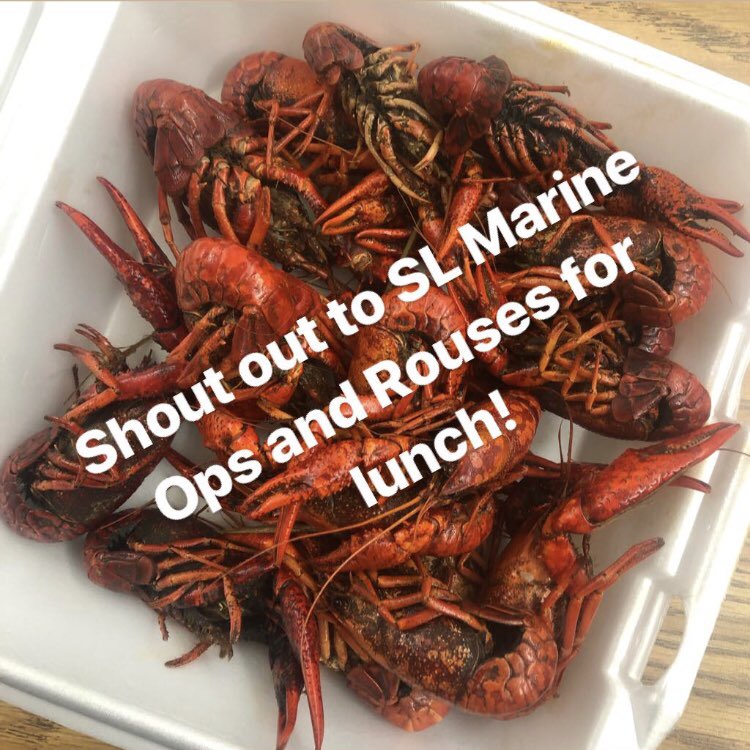 👏🏻👏🏻👏🏻