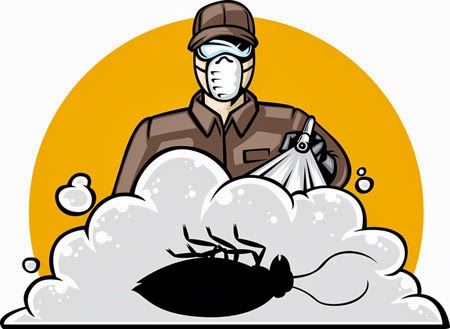 #Kokuluilaçlama #istpakilaclama istpakilaclama.com  #böcek #ilaçlama #haşare #kemirgen #istanbul #ilaçlamaservisi #pestcontrol #spraying #cockroach #hygienespraying #istanbulilaçlama #profesyonel #hijyen #hamamböceği #sivrisinek #المبيدات #bug #jelilaçlama #RodentControl