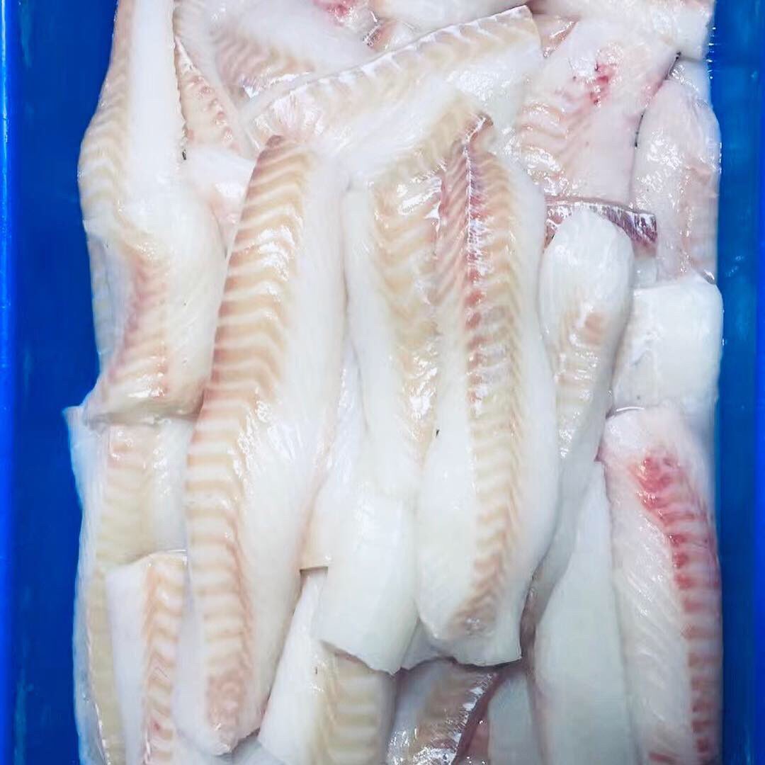 noordzeeinter's tweet photo. Quality is never an accident; it is always the result of high intention, sincere effort, intelligent direction and skillful execution; it represents the wise choice of many alternatives.#cod #fish #seafood #quality #seafoodfromholland https://t.co/ivWbKozOOP