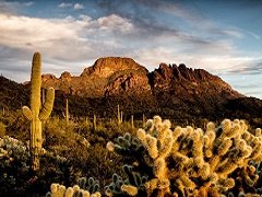 FSEEE's tweet photo. In congressional testimony this week, a Department of Interior official said a decision will be made by September about where to relocate the BLM's Washington D.C. headquarters. He said it will be somewhere in the West.

https://t.co/hZ8WjKN7dU https://t.co/65xPKvF2VS