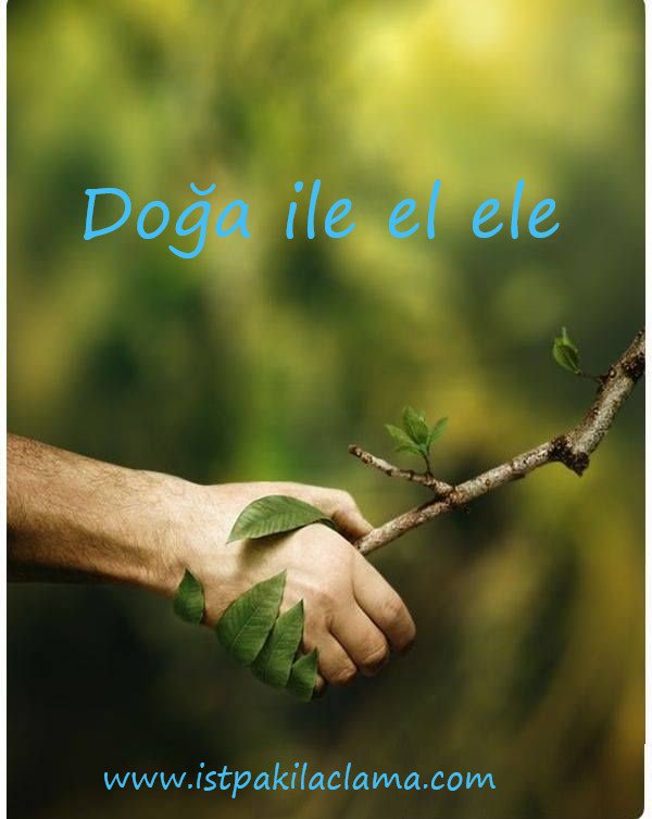 #istpakilaclama istpakilaclama.com  #istanbul #ilaçlamaservisi #pestcontrol  #derman #spraying #cockroach #hygienespraying #fareilaçlama #pireilaçlama #istanbulilaçlama #profesyonel #hijyen #hamamböceği #sivrisinek #المبيدات #commercial #bug #jelilaçlama #RodentControl